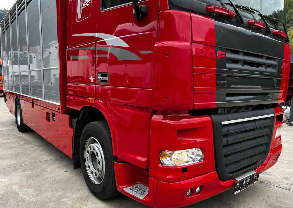 DAF XF 105.460 Euro 5 // Manual // Retarder // Do Żywca / Bydła / Zwierząt / - Camião transporte de gado: foto 3 DAF XF 105.460 Euro 5 // Manual // Retarder // Do Żywca / Bydła / Zwierząt / - Camião transporte de gado: foto 3