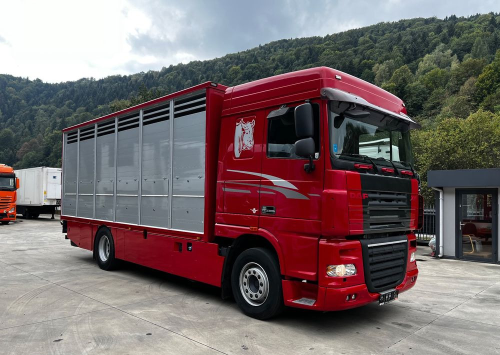 DAF XF 105.460 Euro 5 // Manual // Retarder // Do Żywca / Bydła / Zwierząt / - Camião transporte de gado: foto 2 DAF XF 105.460 Euro 5 // Manual // Retarder // Do Żywca / Bydła / Zwierząt / - Camião transporte de gado: foto 2