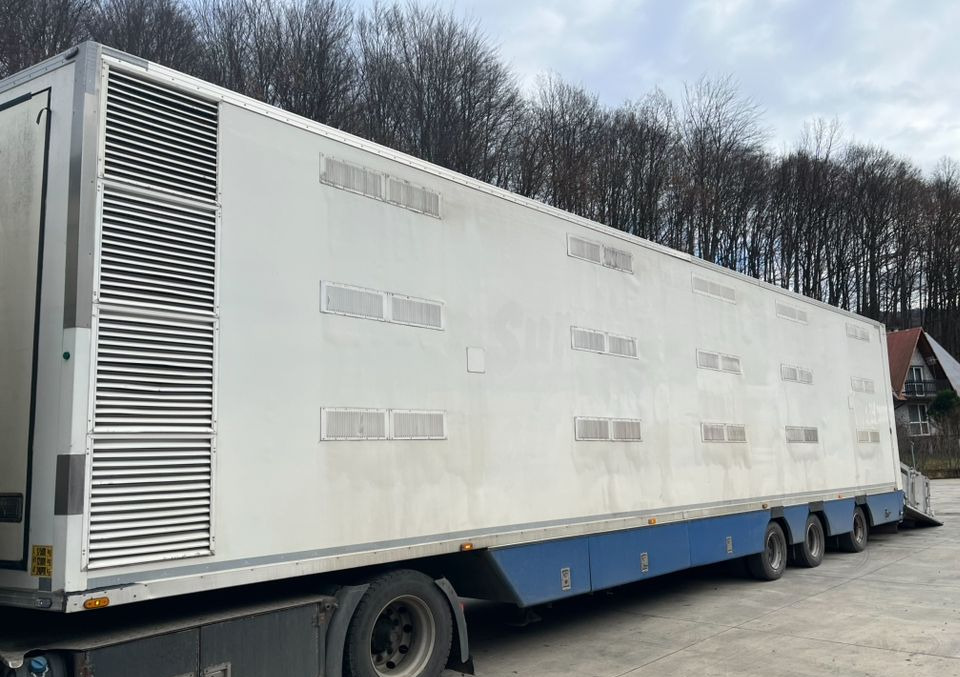 Pezzaioli HMK Industri // Do przewozu zwierząt // 2004 Rok // 3 Pokłady // Waga // Osi skrętne // Oznonacja // - Semi-reboque transporte de gado: foto 2 Pezzaioli HMK Industri // Do przewozu zwierząt // 2004 Rok // 3 Pokłady // Waga // Osi skrętne // Oznonacja // - Semi-reboque transporte de gado: foto 2