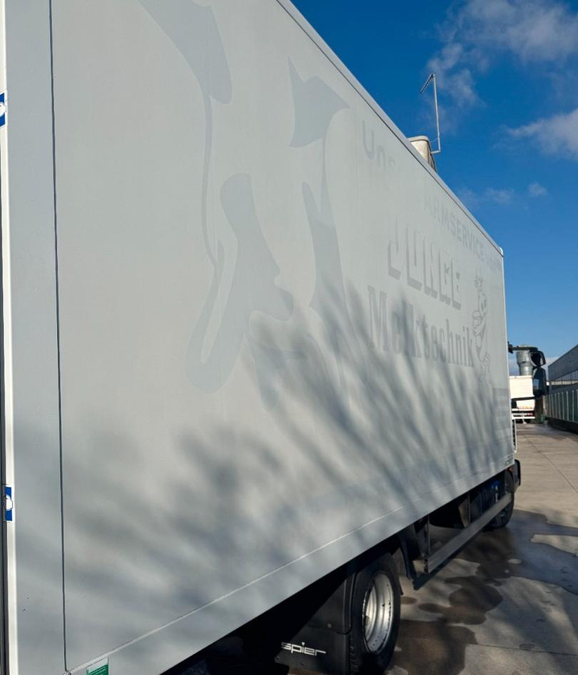 Camião furgão Eurocargo furgone e sponda: foto 8