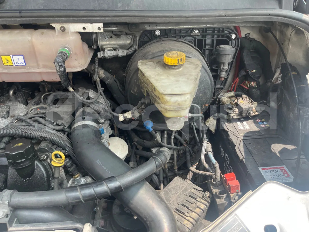 Autocarro Iveco Daily: foto 17