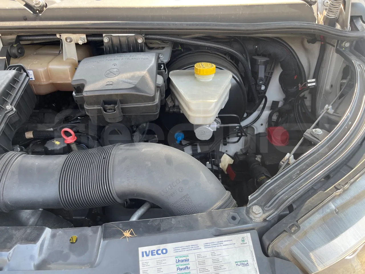 Minibus, Furgão de passageiros Iveco Daily: foto 15