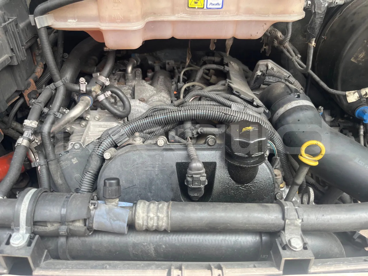 Autocarro Iveco Daily: foto 18