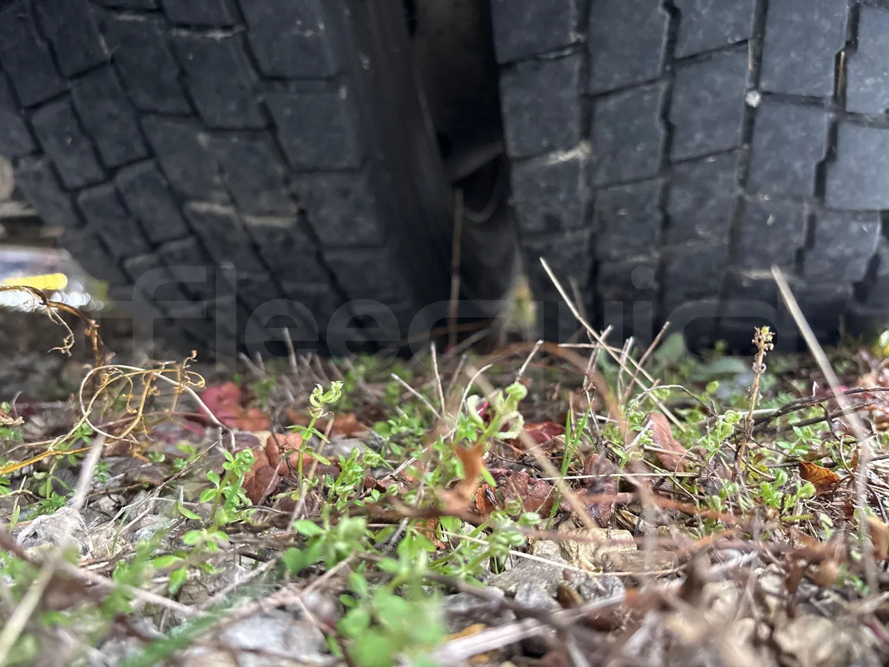 Locação financeira de Solaris Urbino Solaris Urbino: foto 44 Locação financeira de Solaris Urbino Solaris Urbino: foto 44