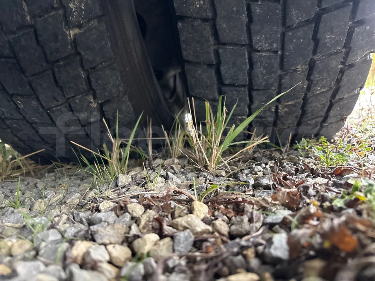 Locação financeira de Solaris Urbino Solaris Urbino: foto 43 Locação financeira de Solaris Urbino Solaris Urbino: foto 43