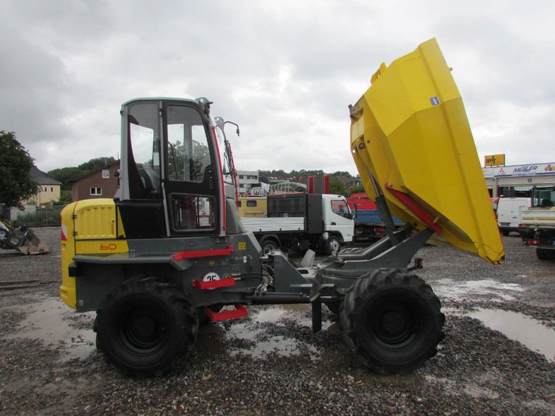 WACKER NEUSON DW 60 Dumper 32.500 EUR - Dumper: foto 5 WACKER NEUSON DW 60 Dumper 32.500 EUR - Dumper: foto 5