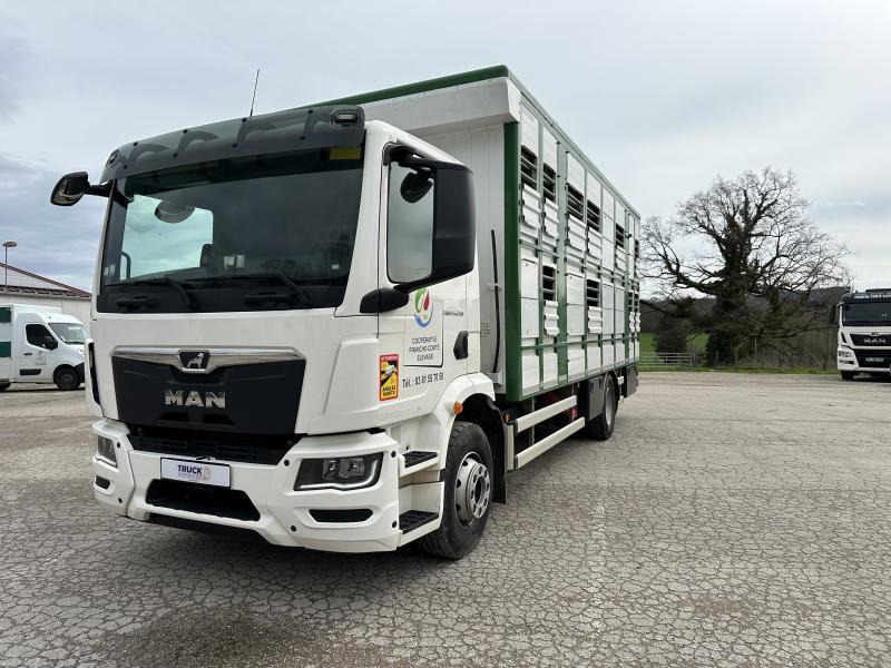 MAN M 90 15.290 TGM - Camião transporte de gado: foto 1 MAN M 90 15.290 TGM - Camião transporte de gado: foto 1