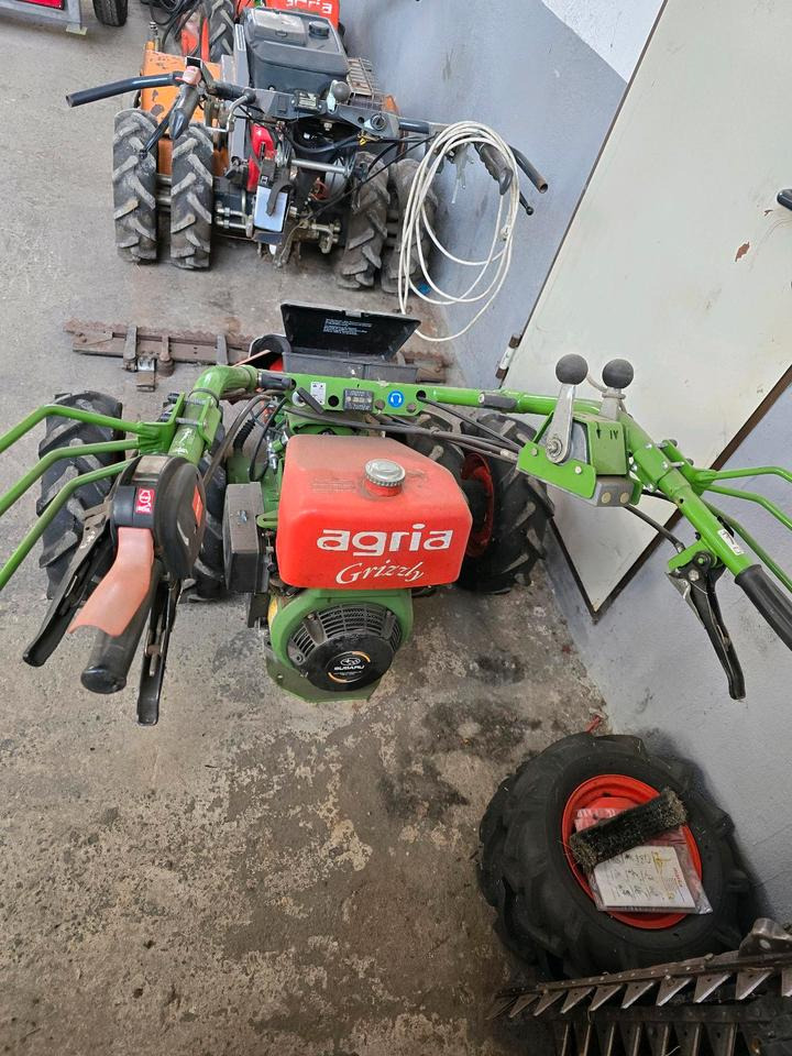 Agria Grizzly 5500 nur 163 Betriebsstunden Motormäher Böschungsmäher Böschungsmulcher Hangmäher Messerbalken Balkenmäher - Cortador de grama: foto 3 Agria Grizzly 5500 nur 163 Betriebsstunden Motormäher Böschungsmäher Böschungsmulcher Hangmäher Messerbalken Balkenmäher - Cortador de grama: foto 3