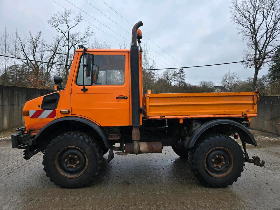 Unimog U1400 Agrar bj. 1995 424 427/10 Mercedes-Benz 1400 1600 1200 1000 - Camião basculante, Veículo municipal/ Especial: foto 5 Unimog U1400 Agrar bj. 1995 424 427/10 Mercedes-Benz 1400 1600 1200 1000 - Camião basculante, Veículo municipal/ Especial: foto 5