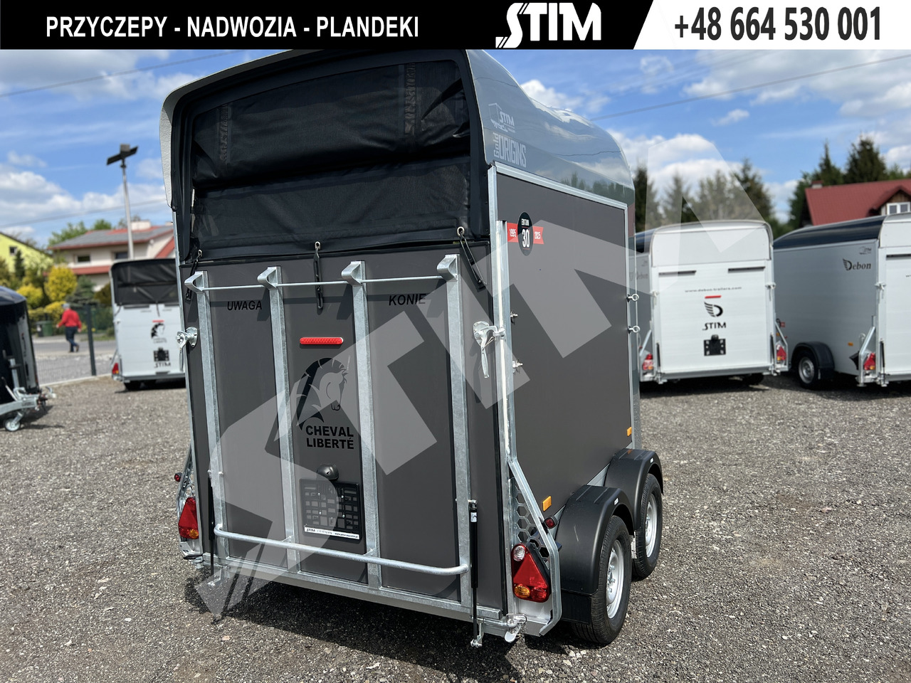 Cheval Liberté GOLD ORIGINS PODŁOGA ALU, BOKI SKLEJKA PPL - Reboque para cavalos: foto 4 Cheval Liberté GOLD ORIGINS PODŁOGA ALU, BOKI SKLEJKA PPL - Reboque para cavalos: foto 4