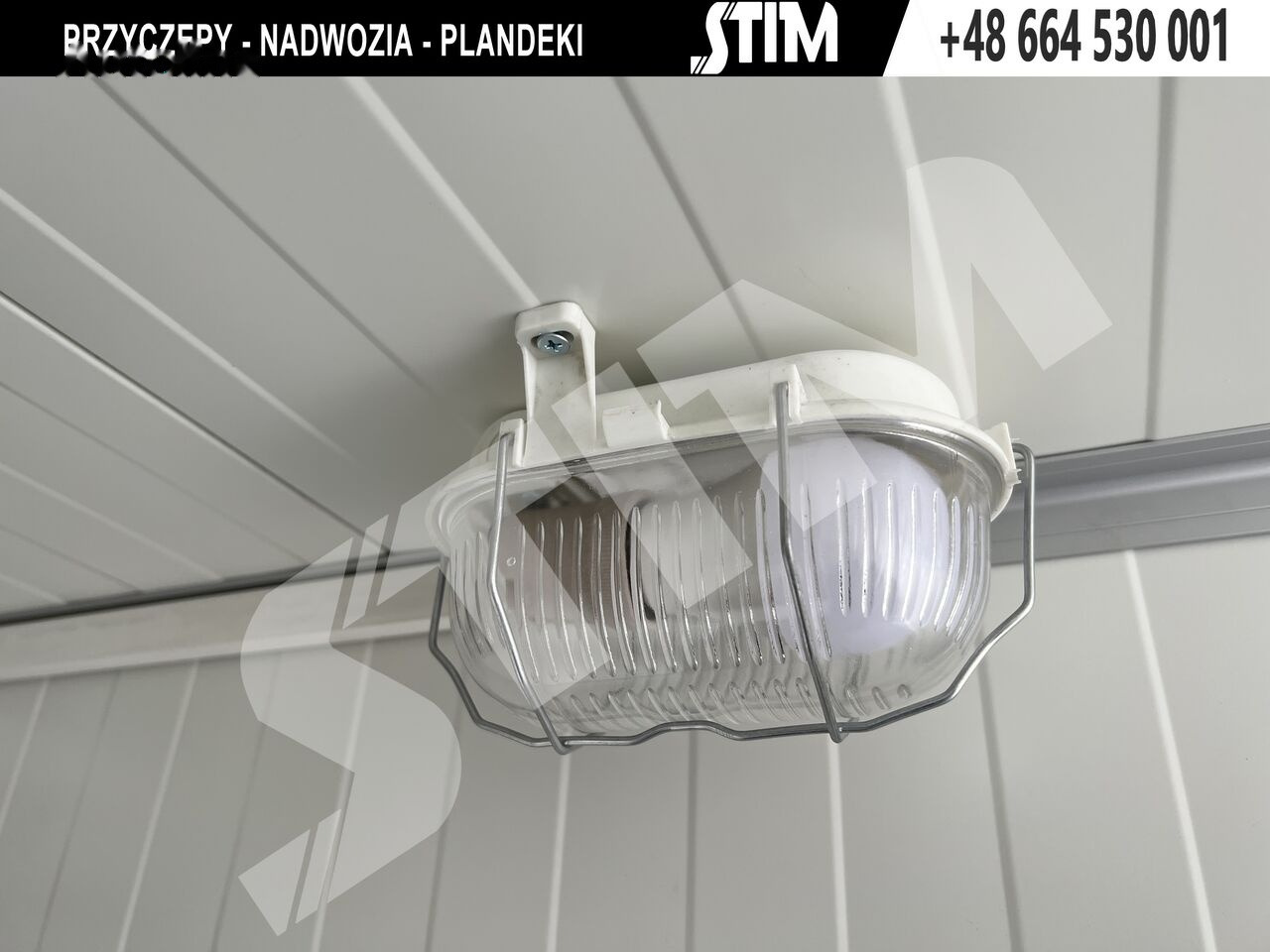 Reboque frigorífico novo Esselmann CHŁODNIA FT 2: foto 23