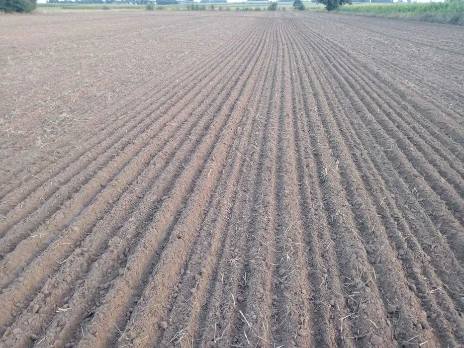Lemken Karat 9/500 agregat bezorkowy - Maquina para lavrar a terra: foto 2 Lemken Karat 9/500 agregat bezorkowy - Maquina para lavrar a terra: foto 2