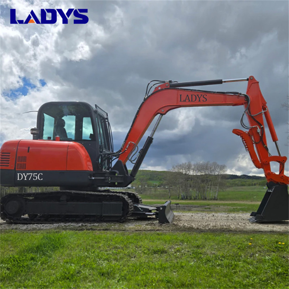 LADYS DY75C Small Excavator Euro 5/Epa Yanmar Engine Small Excavator Crawler Excavator For Sale - Escavadora de rastos: foto 1 LADYS DY75C Small Excavator Euro 5/Epa Yanmar Engine Small Excavator Crawler Excavator For Sale - Escavadora de rastos: foto 1