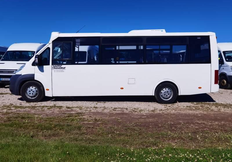 Fiat Ducato miejski, przewóz osób niepełnosprawnych - Ônibus urbano: foto 5 Fiat Ducato miejski, przewóz osób niepełnosprawnych - Ônibus urbano: foto 5