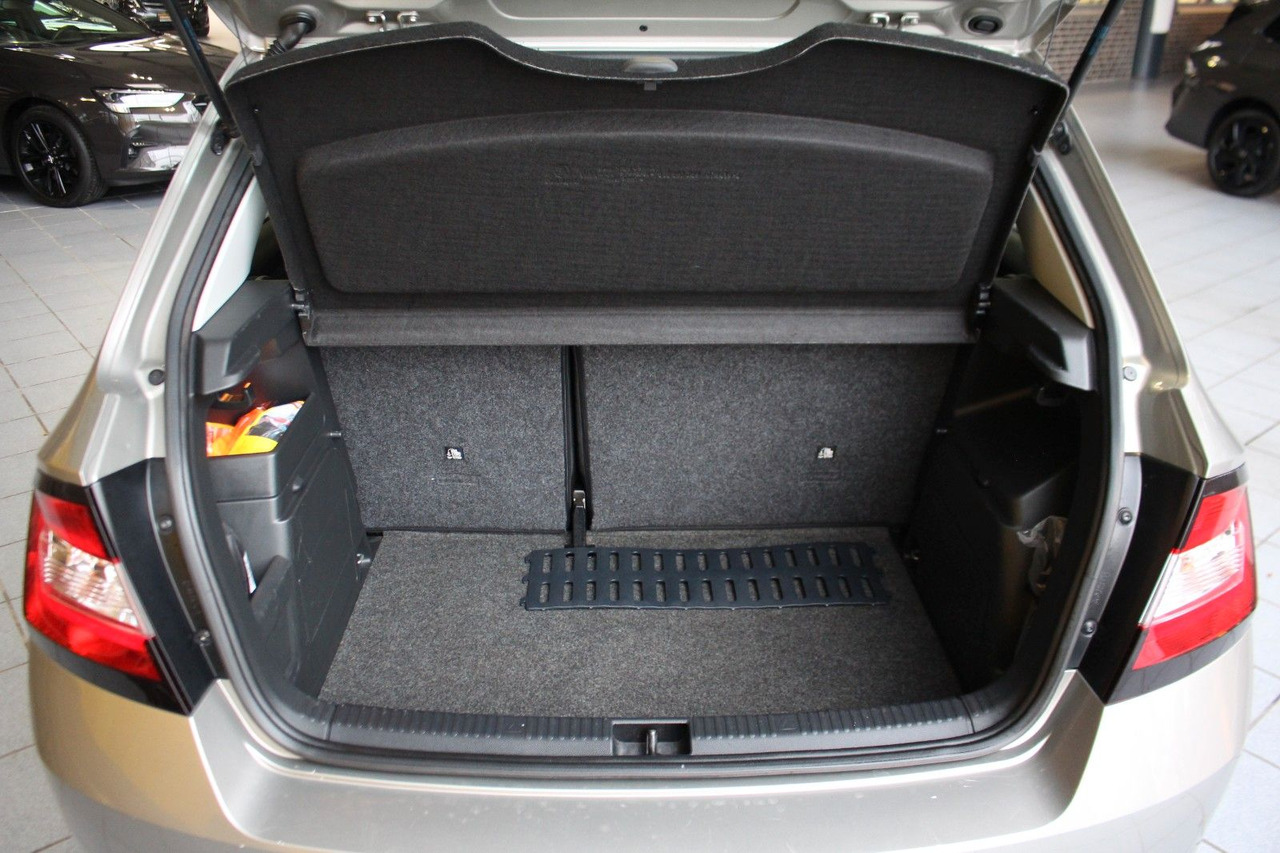 Hatchback Skoda Fabia Ambition Klima Tempomat Bluetooth: foto 14