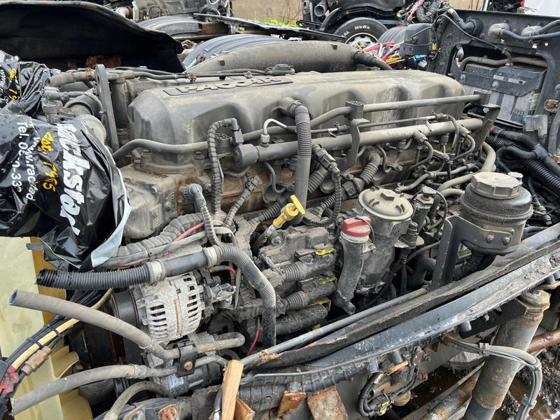 DAF MX13 375 H1 - Motor: foto 3 DAF MX13 375 H1 - Motor: foto 3