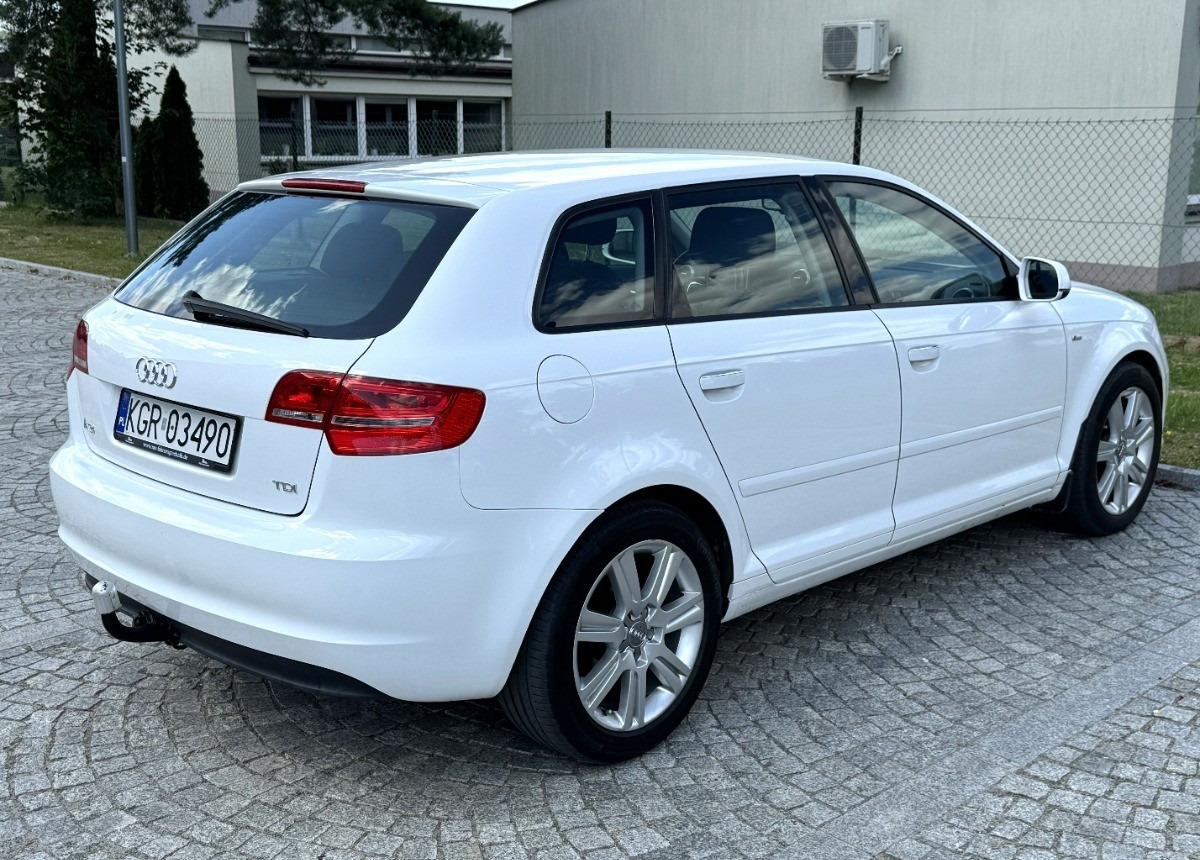 Audi A3 1.6 TDI 105KM Bezwypadkowy potwierdzony przebieg AUTO BARDZO ZADBANE - Automóvel: foto 3 Audi A3 1.6 TDI 105KM Bezwypadkowy potwierdzony przebieg AUTO BARDZO ZADBANE - Automóvel: foto 3