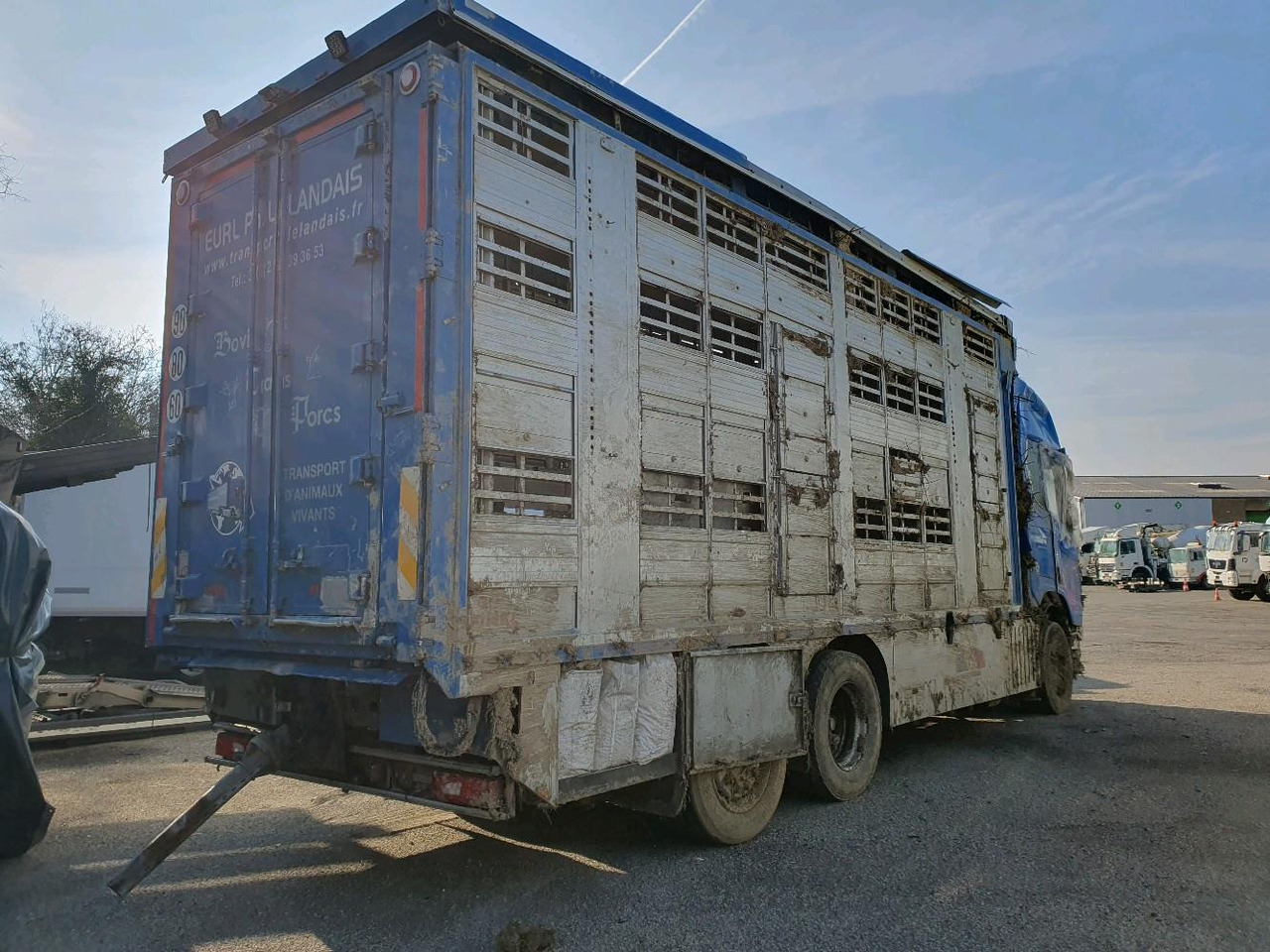 SCANIA R580 - Camião transporte de gado: foto 4 SCANIA R580 - Camião transporte de gado: foto 4