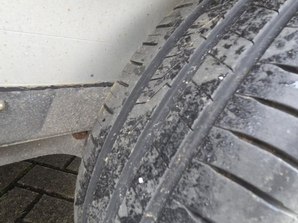 Reboque para cavalos Böckmann, Pferdeanhänger, Champion, 100 km/h: foto 10