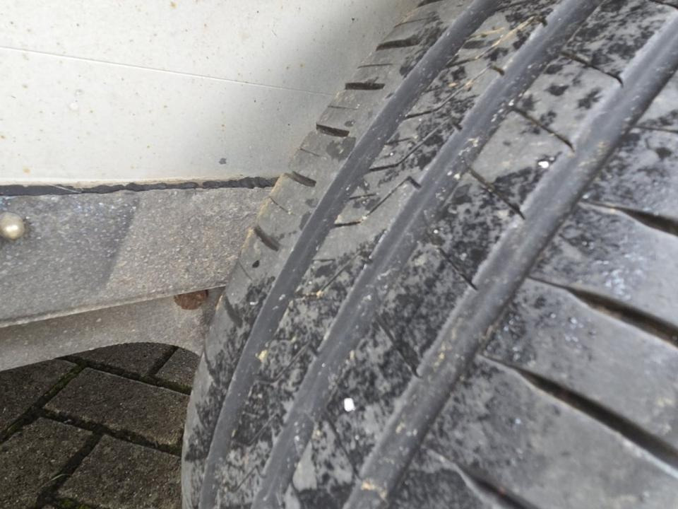 Reboque para cavalos Böckmann, Pferdeanhänger, Champion, 100 km/h: foto 9