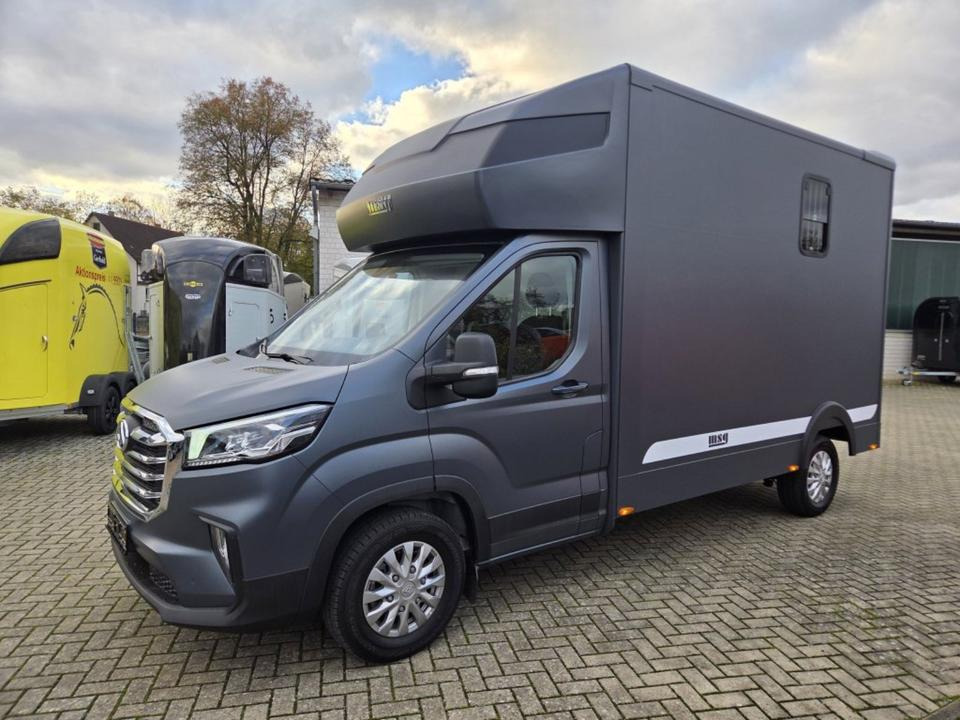 MSG Stablehopper Pferdetransporter Pferdeanhänger Böckmann - Camião de transporte de cavalos: foto 1 MSG Stablehopper Pferdetransporter Pferdeanhänger Böckmann - Camião de transporte de cavalos: foto 1