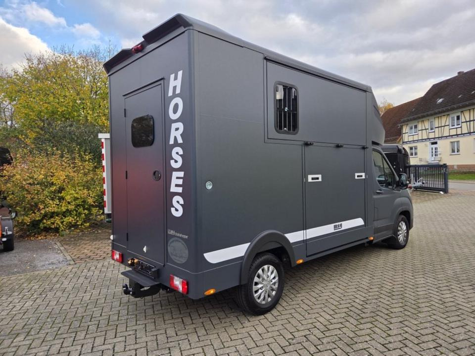 MSG Stablehopper Pferdetransporter Pferdeanhänger Böckmann - Camião de transporte de cavalos: foto 3 MSG Stablehopper Pferdetransporter Pferdeanhänger Böckmann - Camião de transporte de cavalos: foto 3