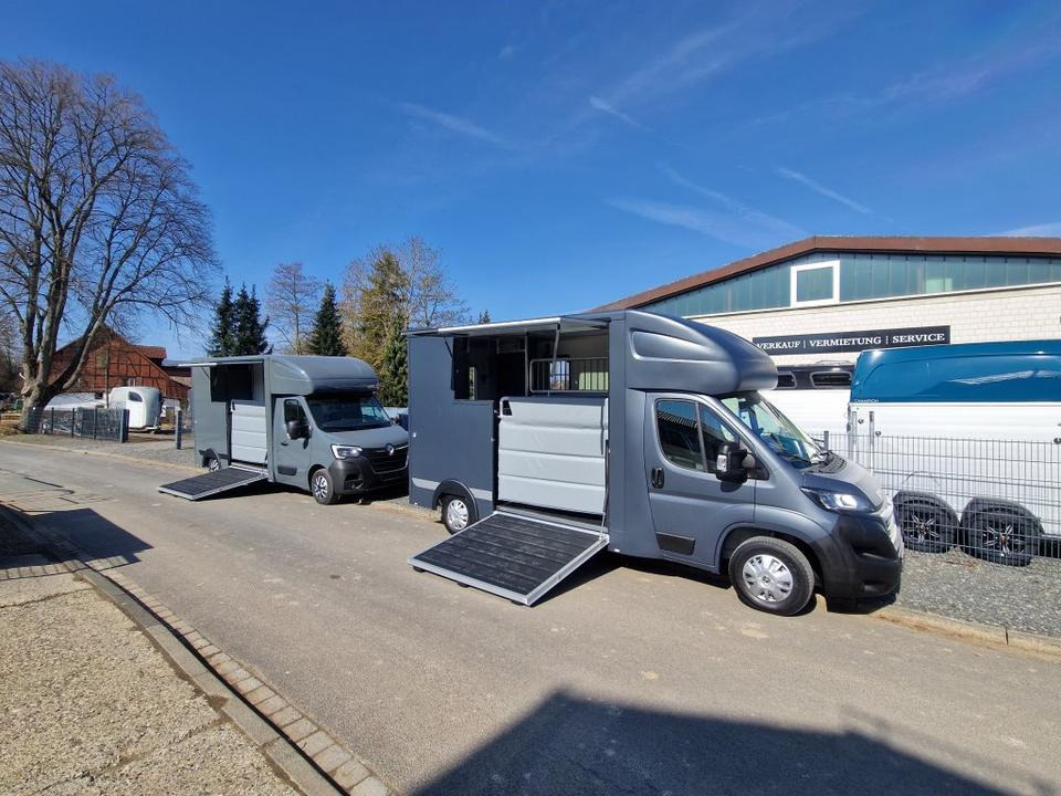 MSG Stablehopper Pferdetransporter Pferdeanhänger Böckmann - Camião de transporte de cavalos: foto 1 MSG Stablehopper Pferdetransporter Pferdeanhänger Böckmann - Camião de transporte de cavalos: foto 1