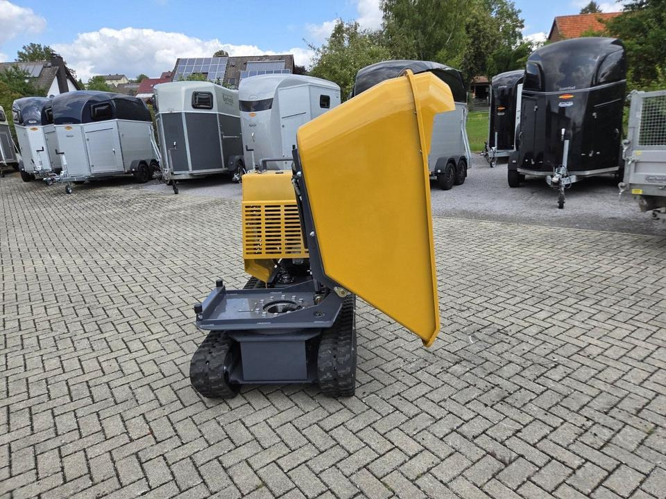 Muldendumper 1,2t Nutzlast Schwenkbar Kettendumper Mieten Leihen - Tombador: foto 4 Muldendumper 1,2t Nutzlast Schwenkbar Kettendumper Mieten Leihen - Tombador: foto 4