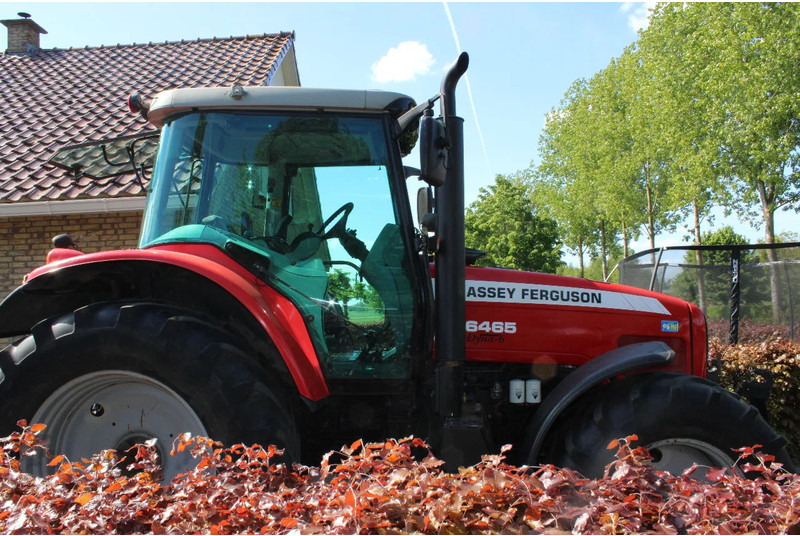 Massey Ferguson 6465 dyna 6 - Trator: foto 2 Massey Ferguson 6465 dyna 6 - Trator: foto 2