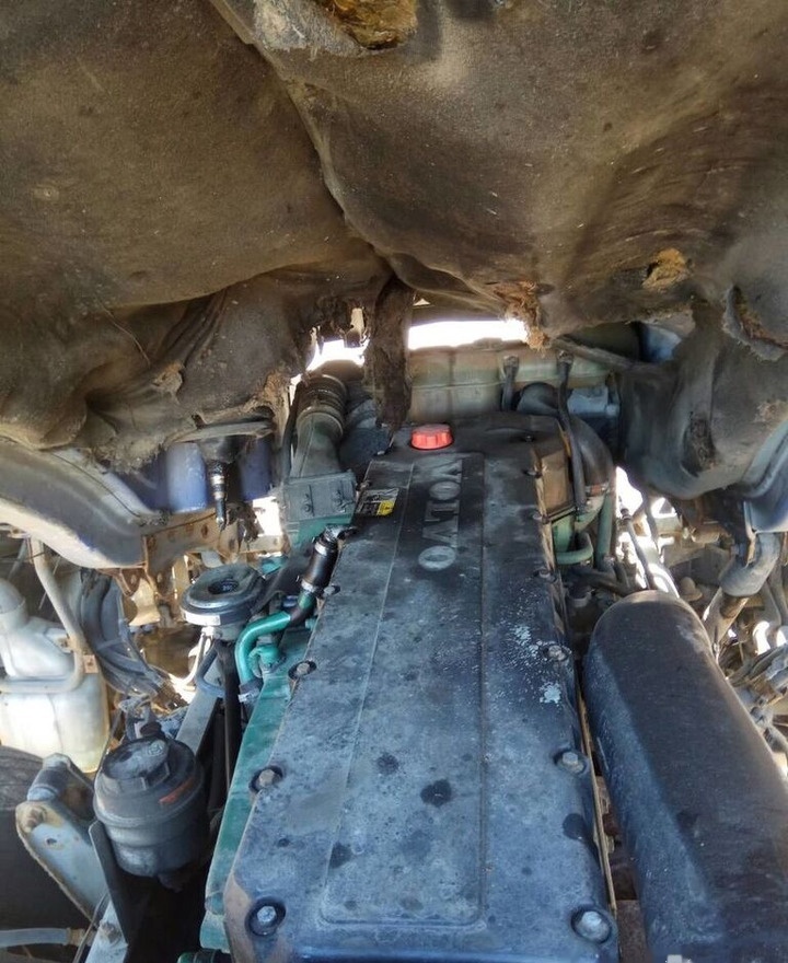 Volvo D12C 460 E3 Volvo FH 12 - Motor para Camião: foto 1 Volvo D12C 460 E3 Volvo FH 12 - Motor para Camião: foto 1
