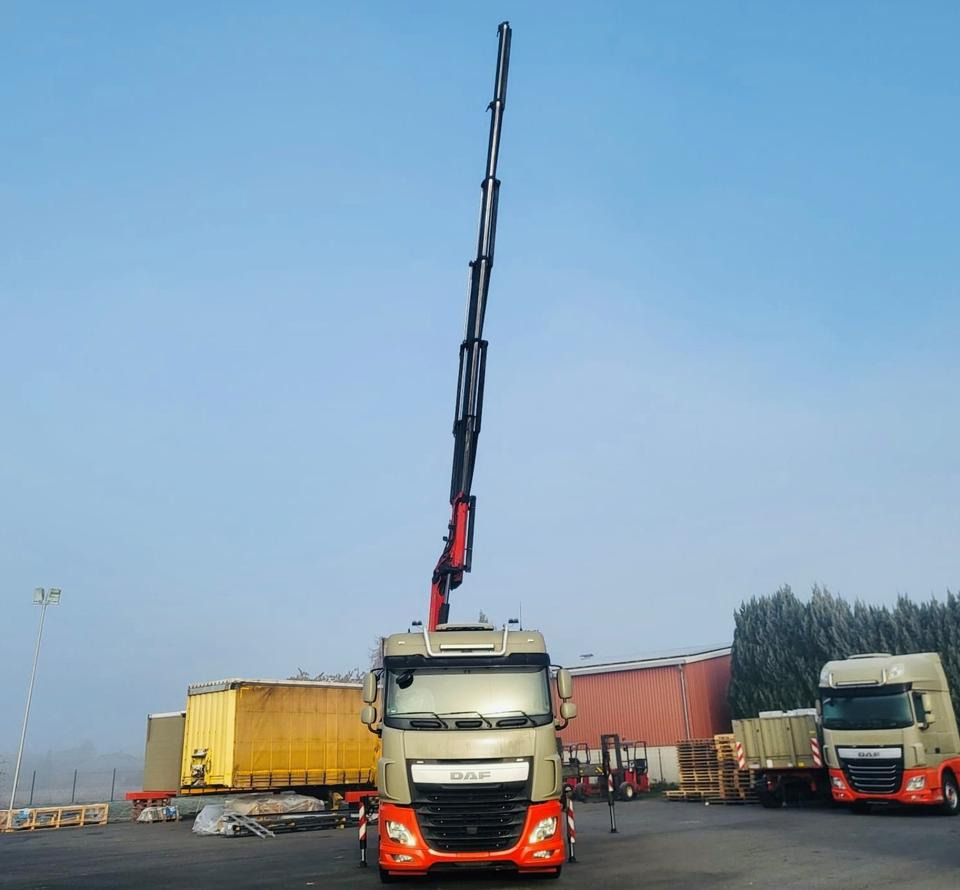 Camião de lona, Camião grua DAF DAF XF 460 FAN + PALFINGER + 16mtr + Lenkachse + EURO 6: foto 13