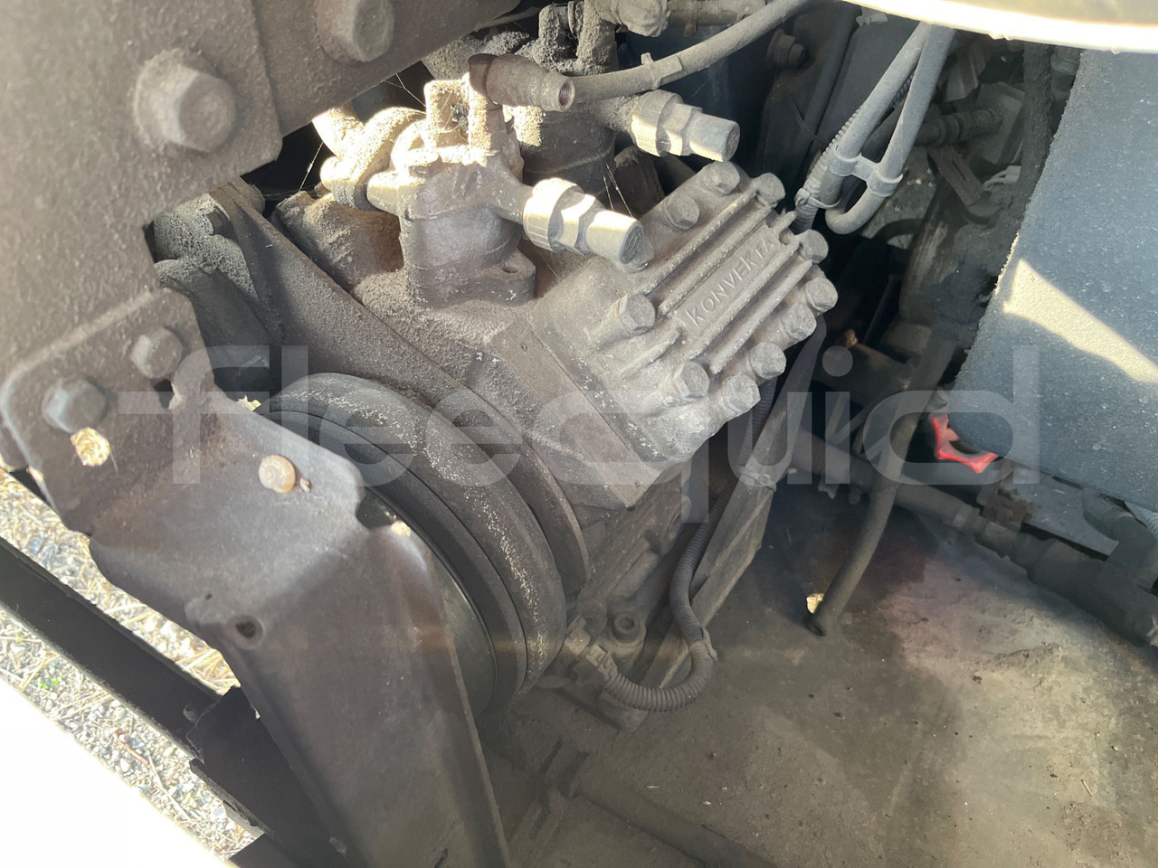 Locação financeira de Man Lion's Classic Man Lion's Classic: foto 18 Locação financeira de Man Lion's Classic Man Lion's Classic: foto 18