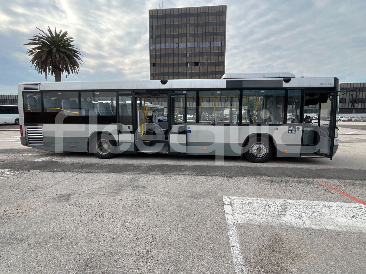 Locação financeira de Man Lion's Classic Man Lion's Classic: foto 14 Locação financeira de Man Lion's Classic Man Lion's Classic: foto 14