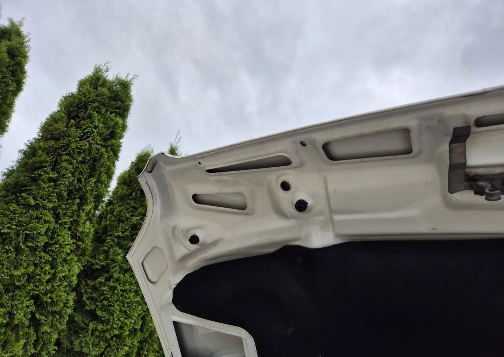 Carrinha de caixa aberta Mercedes-Benz 316CDI 2.2 160KM: foto 16