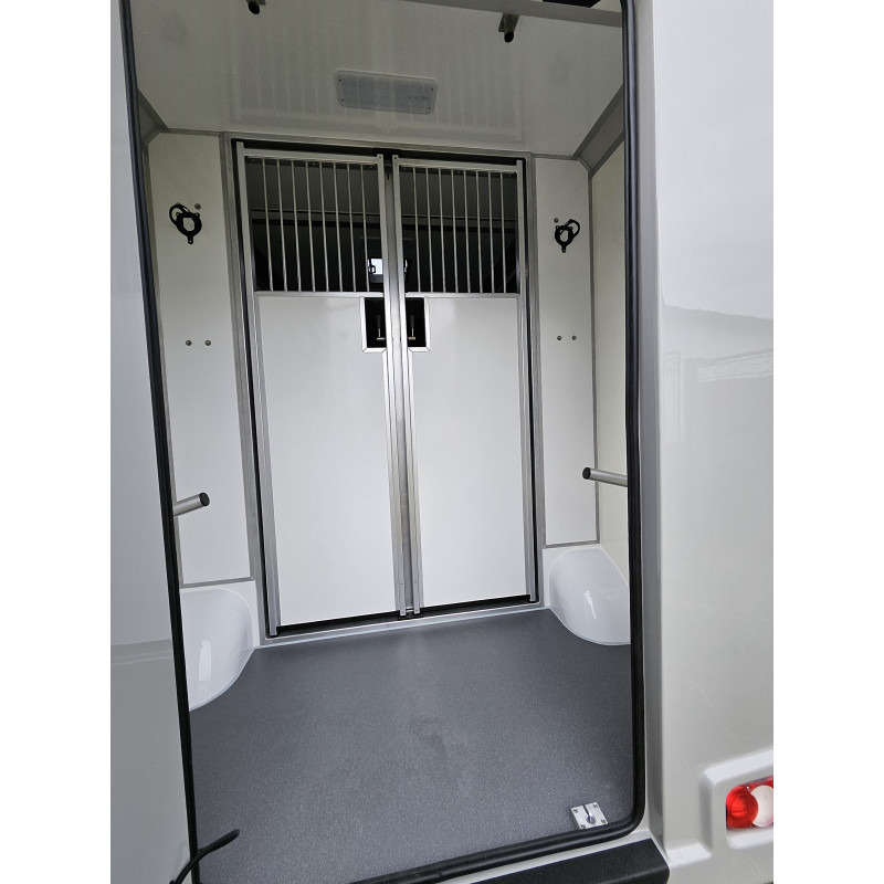 Opel Movano AKX by Stephex - Camião de transporte de cavalos: foto 4 Opel Movano AKX by Stephex - Camião de transporte de cavalos: foto 4