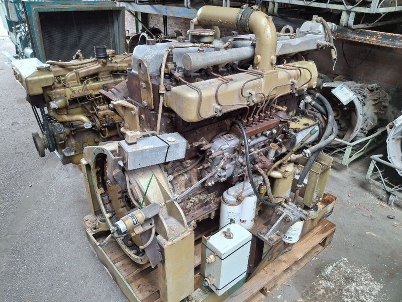 DAF 825 TURBO (DHU825) - Motor: foto 1 DAF 825 TURBO (DHU825) - Motor: foto 1