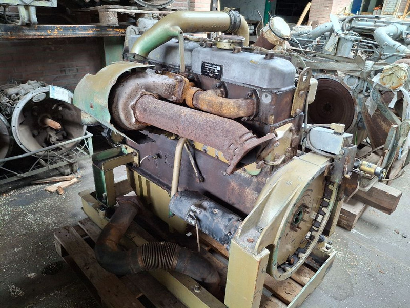 DAF 825 TURBO (DHU825) - Motor: foto 5 DAF 825 TURBO (DHU825) - Motor: foto 5