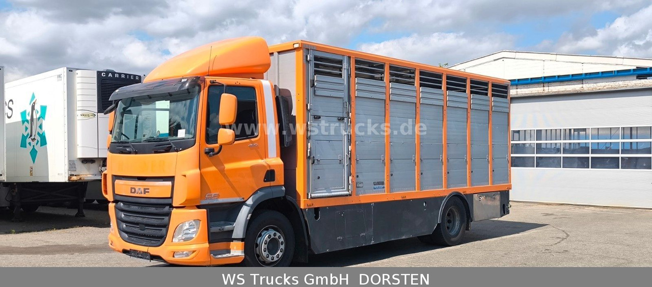 DAF CF 400 Menke Einstock - Camião de transporte de cavalos: foto 3 DAF CF 400 Menke Einstock - Camião de transporte de cavalos: foto 3