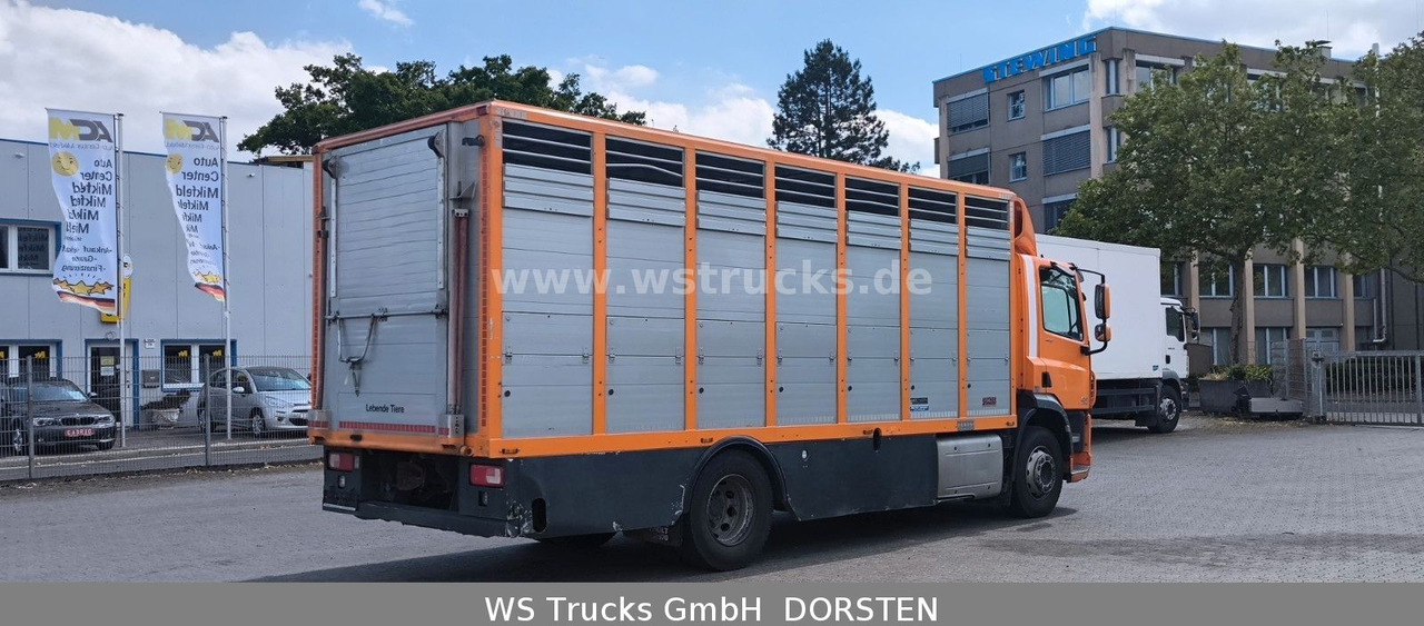 DAF CF 400 Menke Einstock - Camião de transporte de cavalos: foto 5 DAF CF 400 Menke Einstock - Camião de transporte de cavalos: foto 5