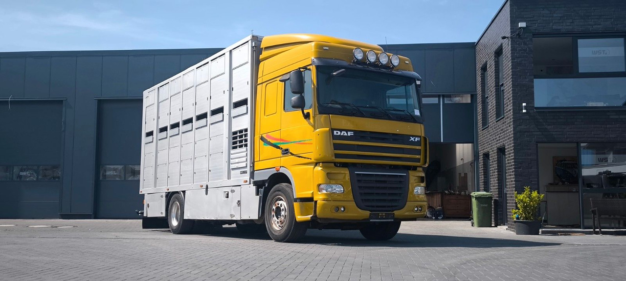DAF XF 410 SC Menke Doppelstock - Camião de transporte de cavalos: foto 4 DAF XF 410 SC Menke Doppelstock - Camião de transporte de cavalos: foto 4