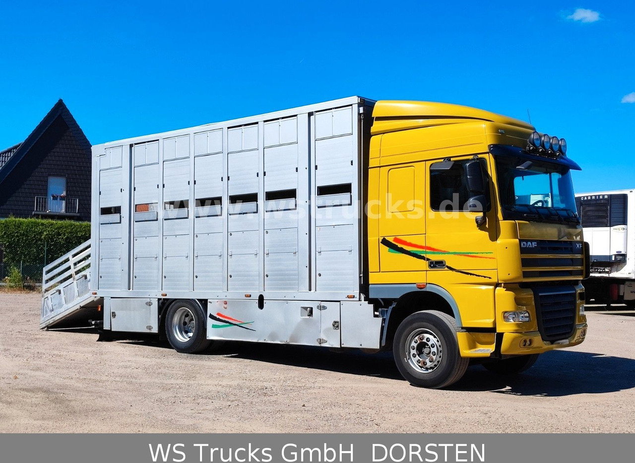 DAF XF 410 SC Menke Doppelstock - Camião de transporte de cavalos: foto 5 DAF XF 410 SC Menke Doppelstock - Camião de transporte de cavalos: foto 5