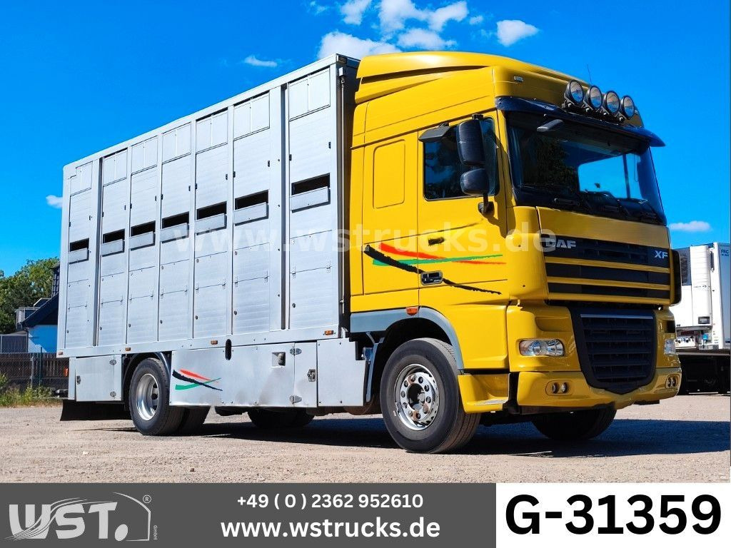 DAF XF 410 SC Menke Doppelstock - Camião de transporte de cavalos: foto 1 DAF XF 410 SC Menke Doppelstock - Camião de transporte de cavalos: foto 1