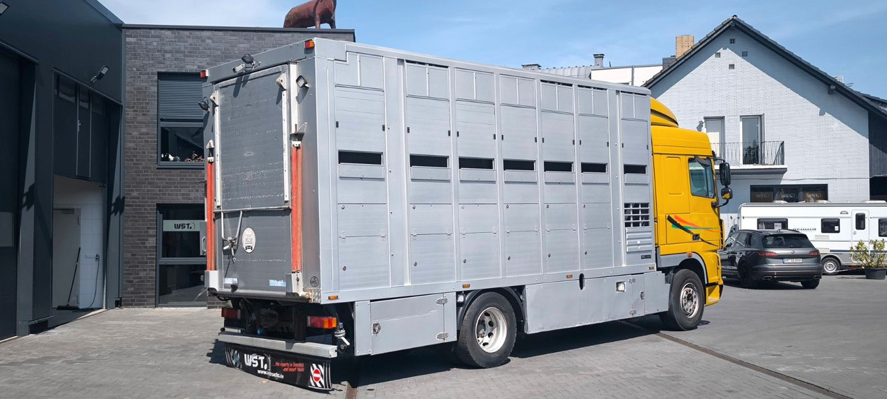 DAF XF 410 SC Menke Doppelstock - Camião de transporte de cavalos: foto 3 DAF XF 410 SC Menke Doppelstock - Camião de transporte de cavalos: foto 3