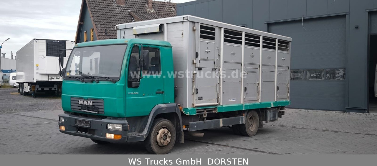 MAN LE 8.220 Menke Einstock Großvieh - Camião transporte de gado: foto 1 MAN LE 8.220 Menke Einstock Großvieh - Camião transporte de gado: foto 1