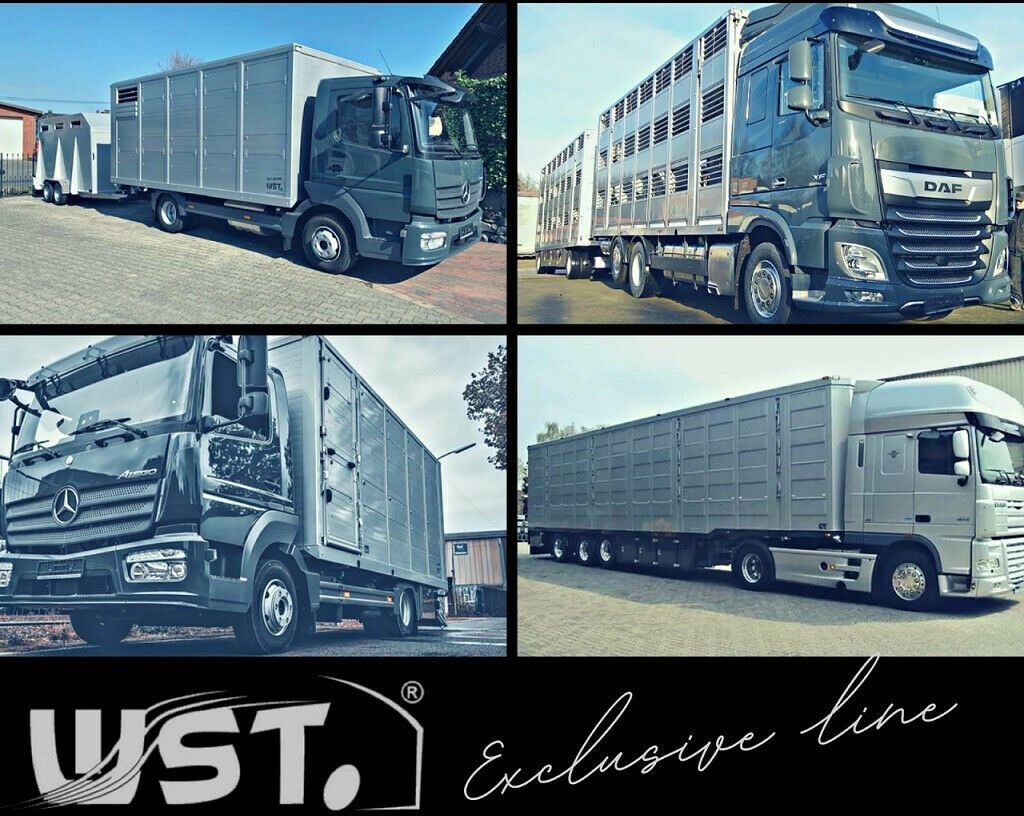 Semi-reboque frigorífico Schmitz Cargobull SKO 24 Kühlauflieger | Rohrbahn Vector 1850Mt: foto 18