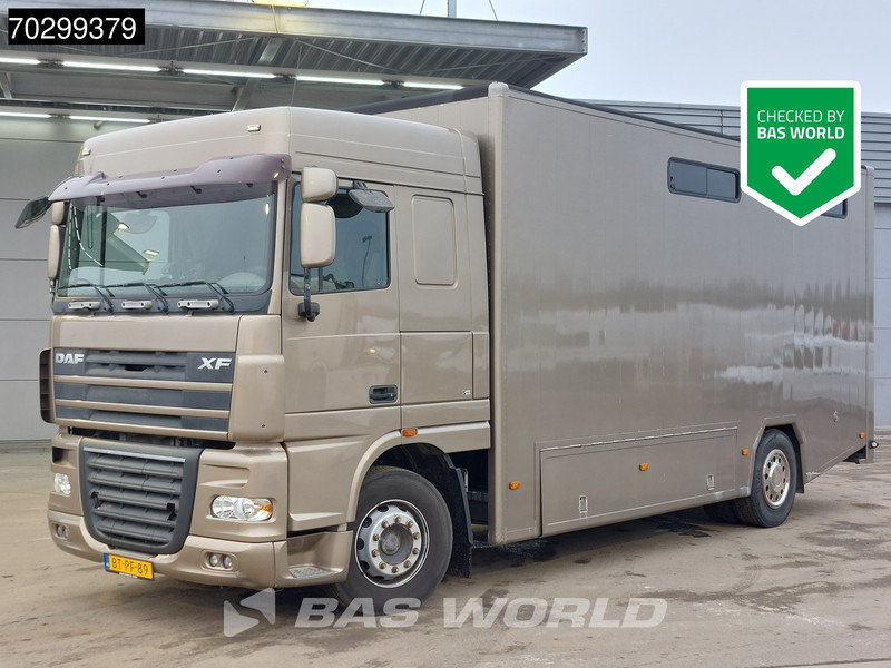 DAF XF105.410 XF 4X2 NL-Truck JK Horsetruck 6 Horses Pferdentransport Manual Euro 5 - Camião de transporte de cavalos: foto 1 DAF XF105.410 XF 4X2 NL-Truck JK Horsetruck 6 Horses Pferdentransport Manual Euro 5 - Camião de transporte de cavalos: foto 1