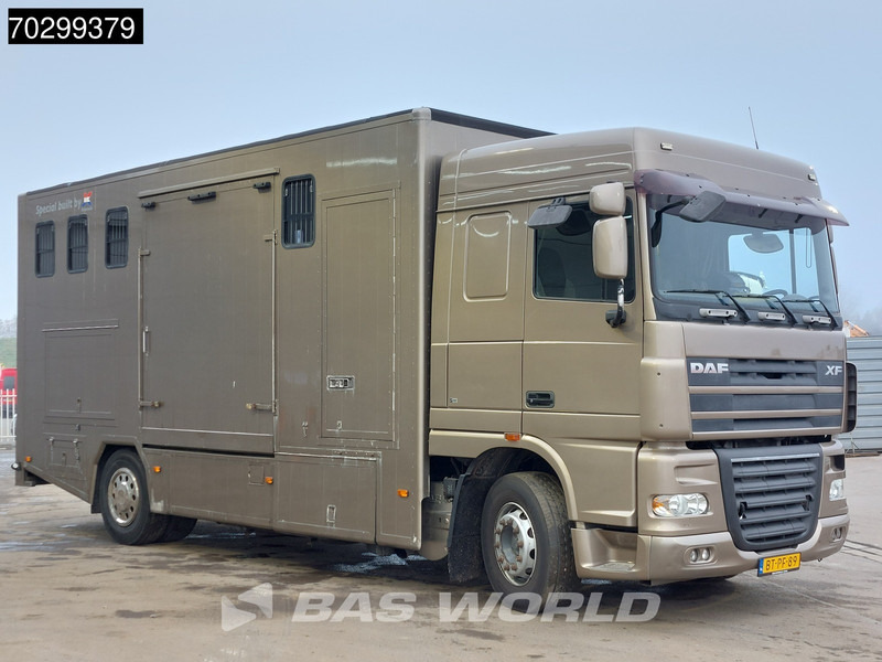 DAF XF105.410 XF 4X2 NL-Truck JK Horsetruck 6 Horses Pferdentransport Manual Euro 5 - Camião de transporte de cavalos: foto 3 DAF XF105.410 XF 4X2 NL-Truck JK Horsetruck 6 Horses Pferdentransport Manual Euro 5 - Camião de transporte de cavalos: foto 3