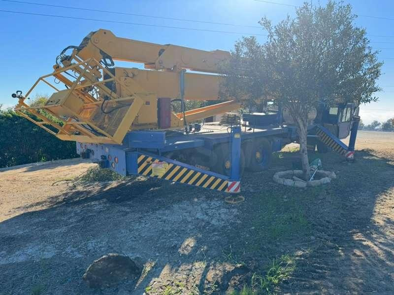 CONDOR 125/S - Grua móvel: foto 3 CONDOR 125/S - Grua móvel: foto 3