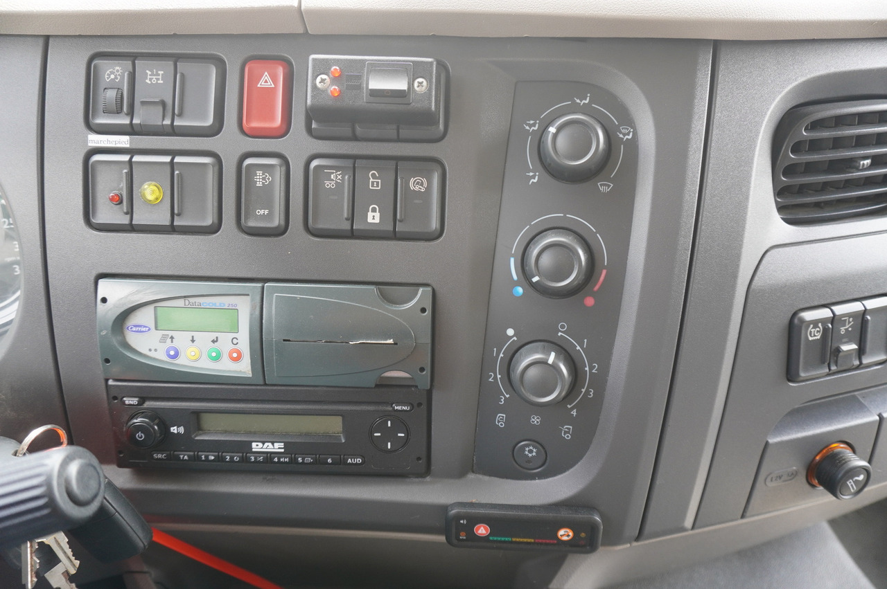 Locação financeira de DAF LF 220 / Refrigerator 16 EPAL Multitemp / Carrier Supra 1150 MT / Palfinger 1500 kg DAF LF 220 / Refrigerator 16 EPAL Multitemp / Carrier Supra 1150 MT / Palfinger 1500 kg: foto 19