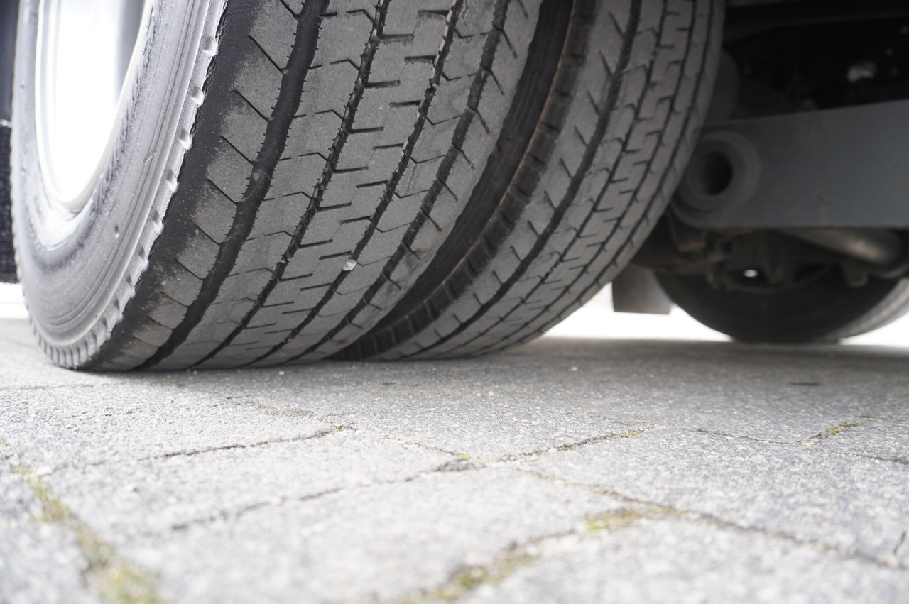 Camião transporte de veículos MERCEDES-BENZ Atego 1224 / New galvanized tow truck: foto 17